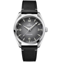 OMG Seamaster Railmaster, 38mm with Black Leather Strap