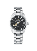 GSK Spring Drive SBGA489