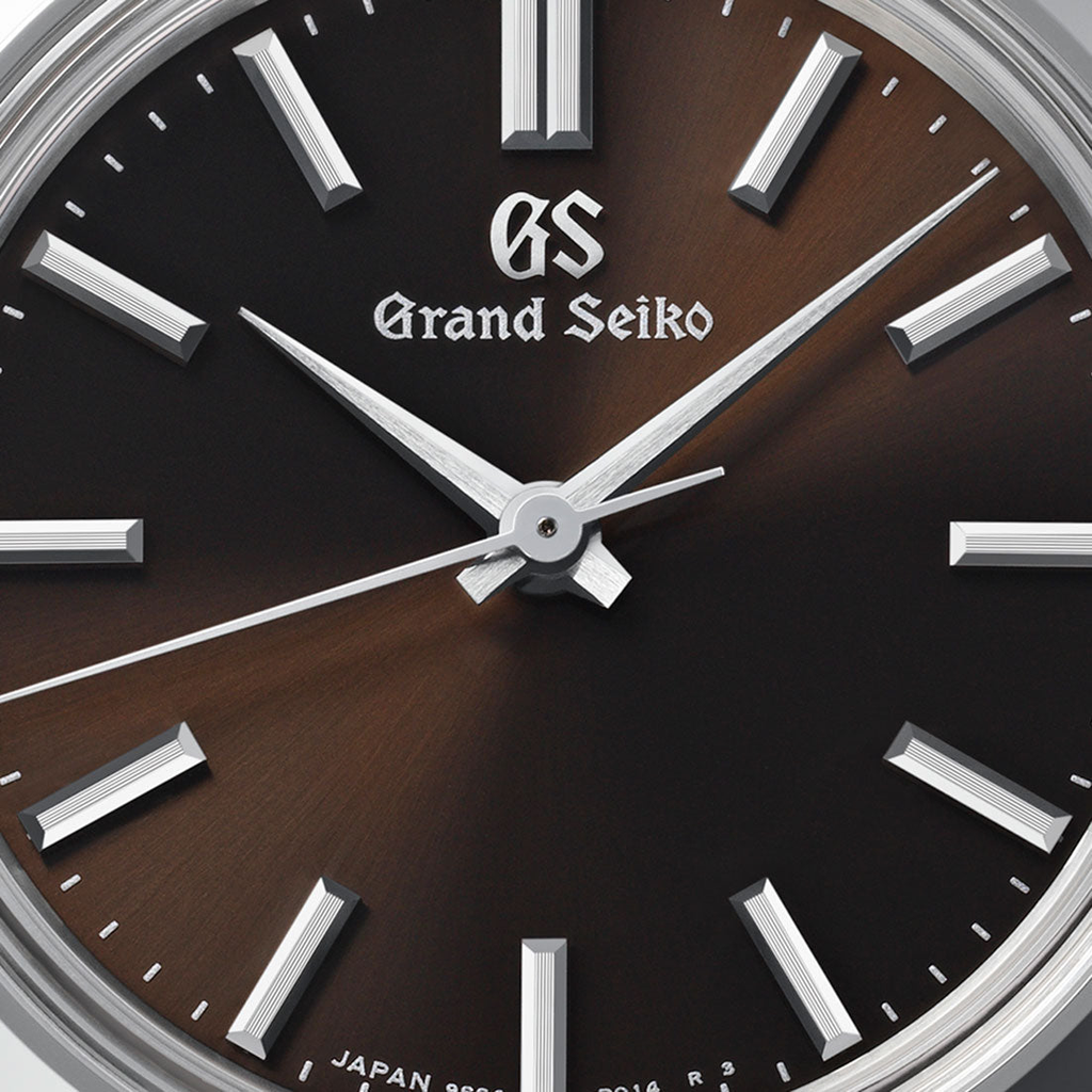 GSK Manual SBGW293