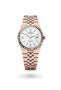 RLX Land-Dweller 36